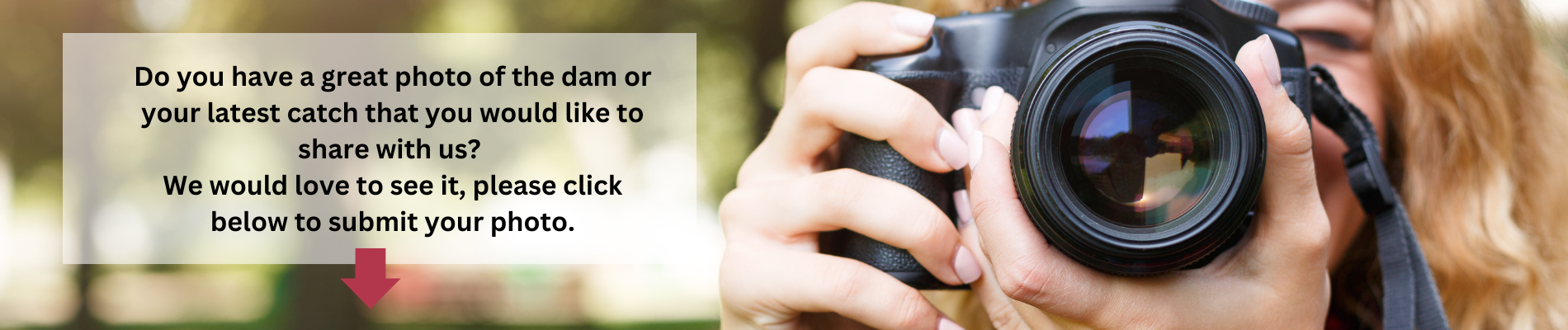 Have a great photo of the dam? Share it with us