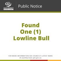 16 03 23 Public notice found one 1 lowline bull 1