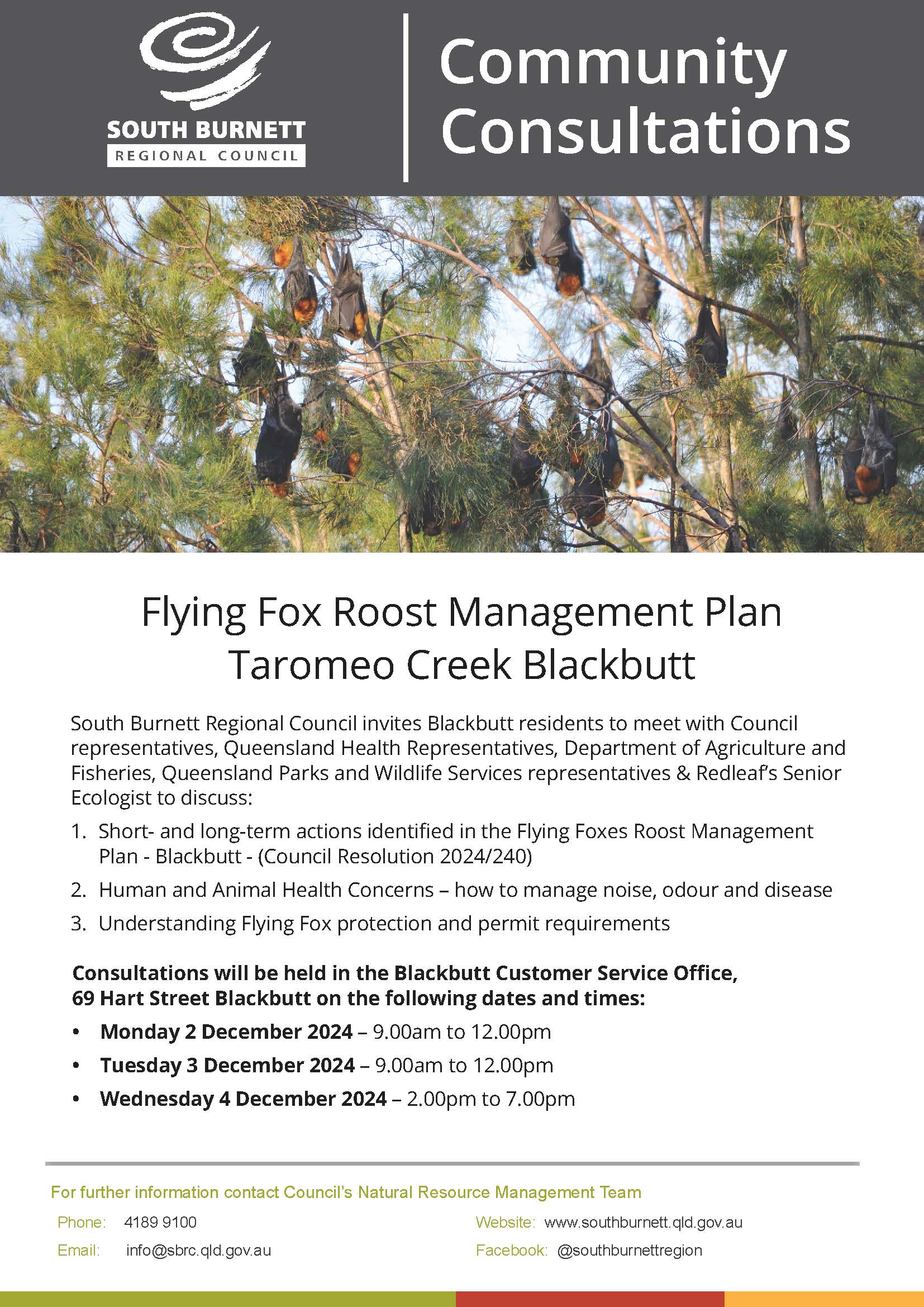 Flying fox roost management plan taromeo creek blackbutt community consultations