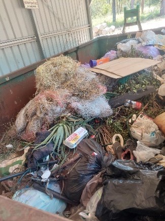 Green waste dumped in the skip bins